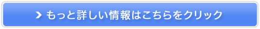 ƗpPAN[ylz500~̔TCg